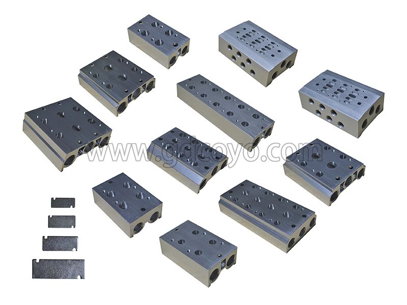 3V100M Series Manifold