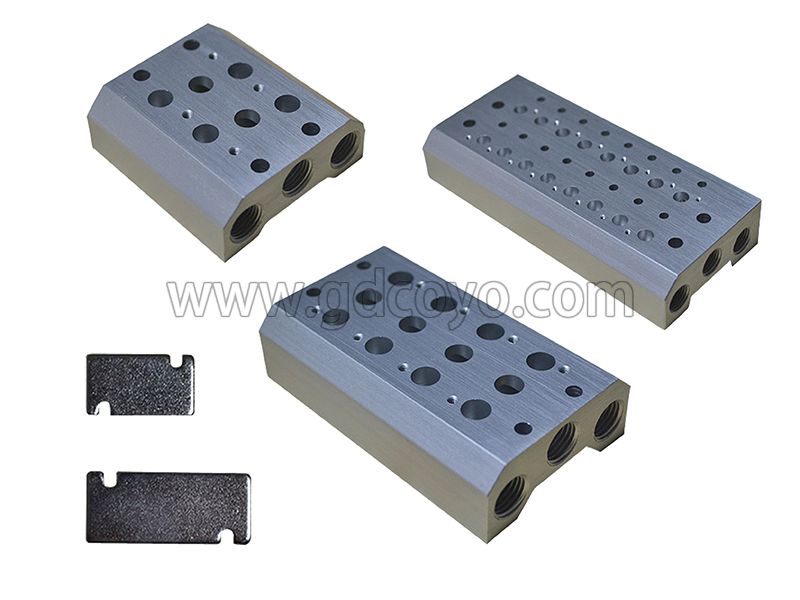 110M Series Manifold