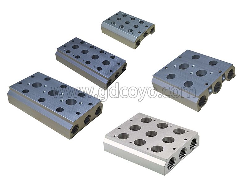 MVSC Series Manifold